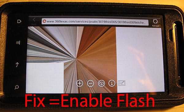 enableflash.jpg