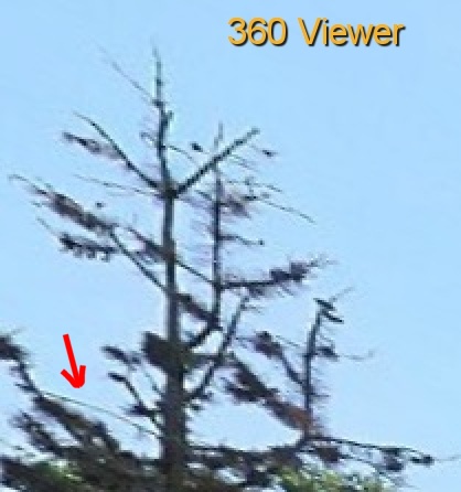 360Viewer.jpg